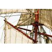Occre 1/100 Albatros Schooner Model Kit