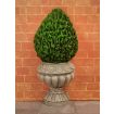 Flat Backed Topiary Bush for 12th Scale Dolls House