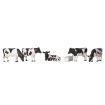Branchline Cows 36-081 OO Gauge