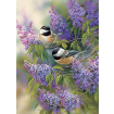 Cobble Hill Chickadees and Lilacs 1000 Piece Jigsaw