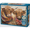 Cobble Hill BRRR! 500 Piece Jigsaw