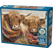 Cobble Hill BRRR! 500 Piece Jigsaw