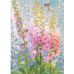 Cobble Hill Summer Rainbow 500 Piece Jigsaw