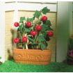 Tomato Plant in Pot for 12th Scale Dolls House
