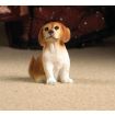 Scoobie the Brown & White Pup for 12th Scale Dolls House