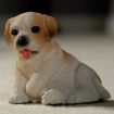Poppy the White & Brown Pup for 12th Scale Dolls House