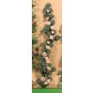 Climbing Pink Roses 220mm for 12th Scale Dolls House