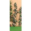 Climbing Pink Roses 220mm for 12th Scale Dolls House