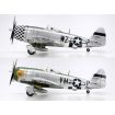 Tamiya 1/48 Scale Republic P-47D Thunderbolt Bubbletop Model Kit