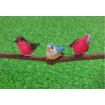Set of 3 Birds for 12th Scale Dolls House