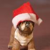 Red Christmas Hat for 12th Scale Dolls House