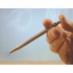 Expo Stainless Prong Pick Up Tool