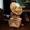 ROKR Diva Gramophone Music Box Wooden Model Kit