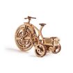 Wood Trick Bicycle
