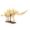 CaDa Stegosaurus Dinosaur Fossil Brick Model Kit