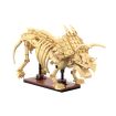 CaDa Triceratops Dinosaur Fossil Brick Model Kit