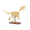 CaDa Velociraptor Dinosaur Fossil Brick Model Kit