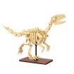 CaDa Velociraptor Dinosaur Fossil Brick Model Kit