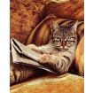 Figured'Art Don't Mess With This Cat Printed Cross Stitch Kit