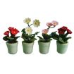 Potted Plant for 12th Scale Dolls House