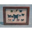 Butterfly Box for 12th Scale Dolls House