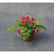Fuchsias in pot for 12th Scale Dolls House