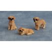 Labrador Puppy Yellow Pk 3 for 12th Scale Dolls House