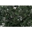 Woodland Scenics Dark Green Fine Leaf Foliage