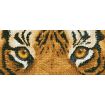 Diamond Dotz Tiger Spy Diamond Painting Kit