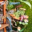 Rolife Leafree Café DIY Miniature Dollhouse Kit