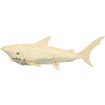 Quay Shark Wooden Model Kit