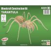 Quay Tarantula Wooden Model Kit