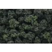 Woodland Scenics Forest Green Blend Bushes