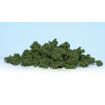 Woodland Scenics Medium Green Clump Foliage