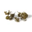 All Game Terrain Fall Brambles