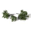 All Game Terrain Spring Brambles