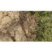 All Game Terrain Winter Mix EZ Bushes