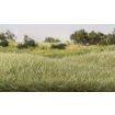 All Game Terrain 7mm Light Green Static Grass