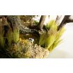 All Game Terrain Cattails Tufts