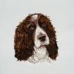 Trimits Cross Stitch Springer Spaniel Kit