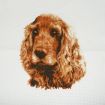 Trimits Cocker Spaniel Large Counted Cross Stitch Kit