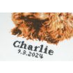 Trimits Cocker Spaniel Large Counted Cross Stitch Kit
