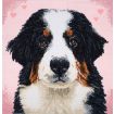 Trimits Woof Large Counted Cross Stitch Kit