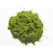 Javis Green Hairy Grass Scatter 20g Spring Mix