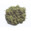 Javis Green Hairy Grass Scatter 20g Autumn Mix