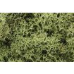 Woodland Scenics Spring Green Lichen