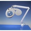Slim Line LED Magnifier Lamp