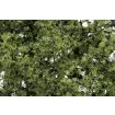 Woodland Scenics Light Green Fine Leaf Foliage