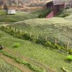 Scale Model Scenery Laser Cut 4ft Post & Wire Fencing OO Gauge