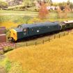 Scale Model Scenery Laser Cut 4ft Post & Wire Fencing OO Gauge